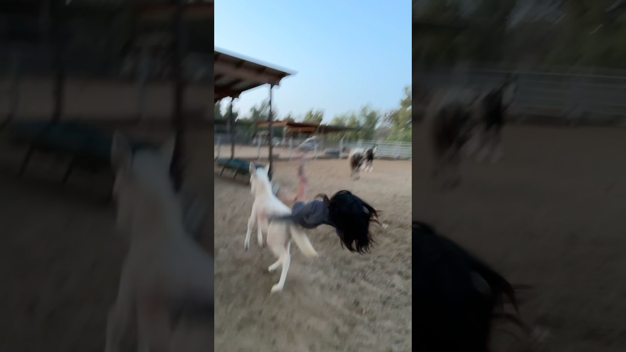 JENNIFER NGO RIDING A HORSE