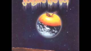 Forgive-Me-Not - Her Beautiful Rose