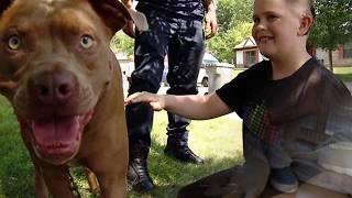 5 Pets Who Saved Their Owners Lives! #2