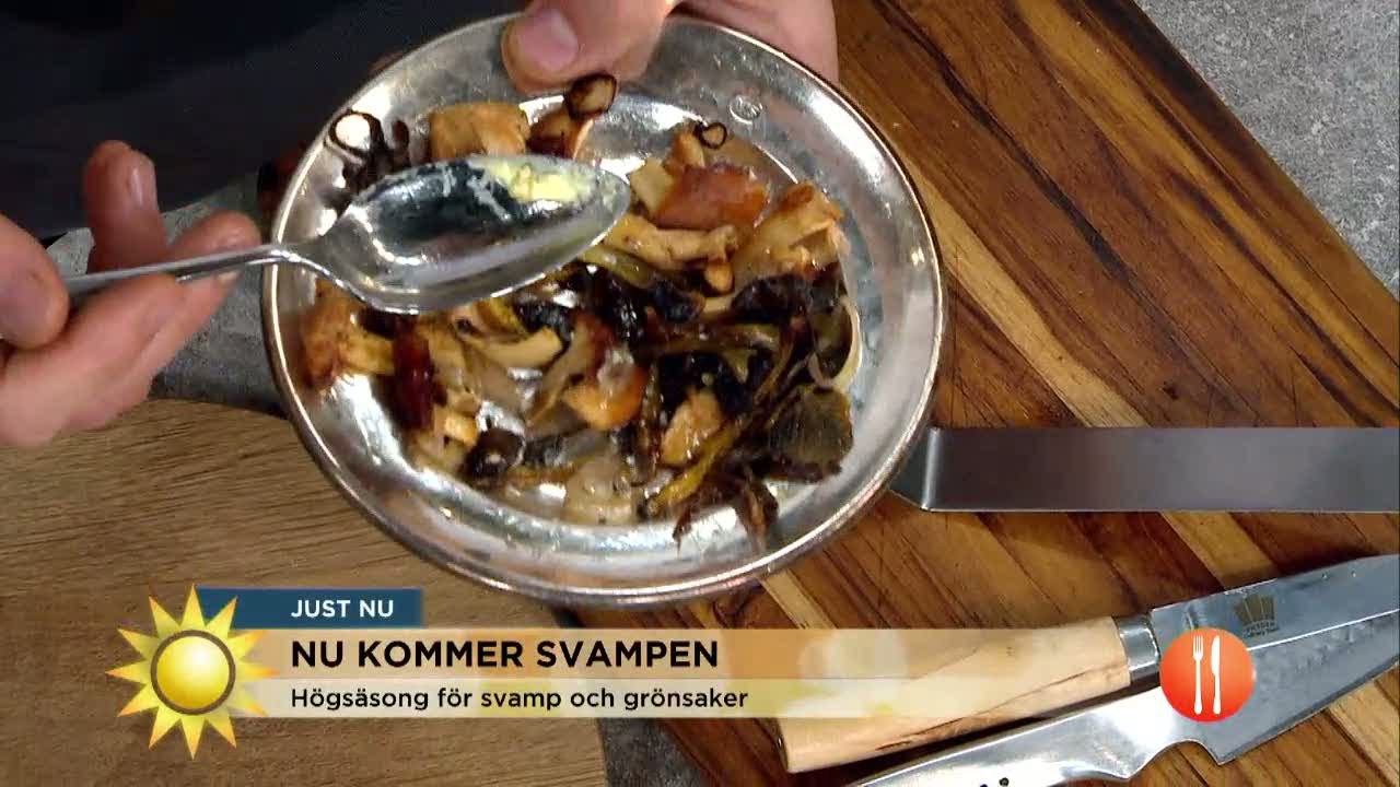 Nu kommer svampen! - Nyhetsmorgon (TV4)