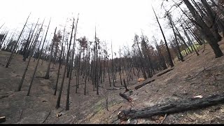 Evacuation orders in Missoula Co. could be dropped by end of weekend