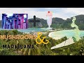 🍄milkshakes and marijuana on Ko Phi Phi