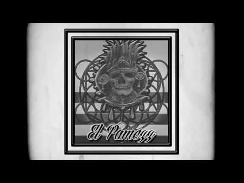 El Pamezz - No sienten