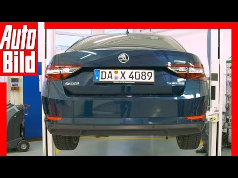 Skoda Superb (2015) Long-term test / Details / Review