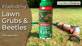 How to Get Rid of Lawn Beetles & Grubs