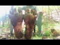 Muddy Feet Play 2 Goddess Ashley Nicole