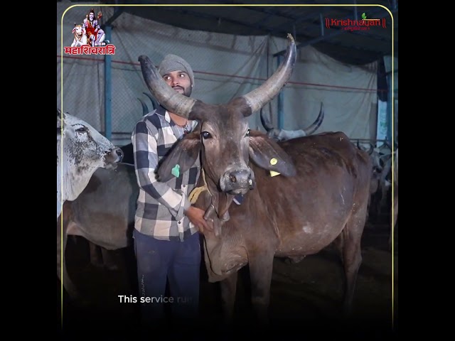 About Krishnayan Video Thumbnail