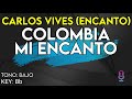 Carlos Vives (Encanto) - Colombia, Mi Encanto - Karaoke Instrumental - Bajo