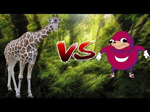 Wild Zeraf Vs Ugandan Knuckles (Logan Paul in the Title)
