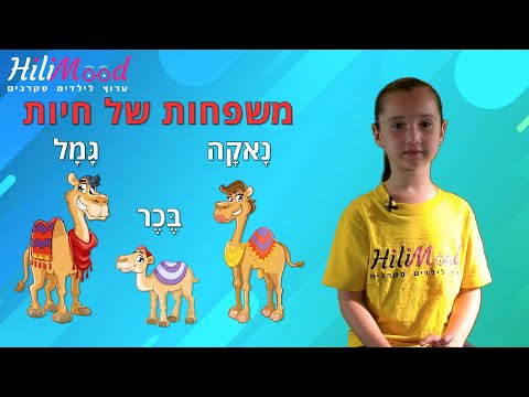 הילימוד - משפחות של חיות | מיוחד לילדים