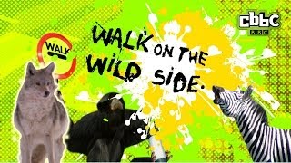 preview picture of video 'CBBC: Walk on The Wild Side - Snow Love'