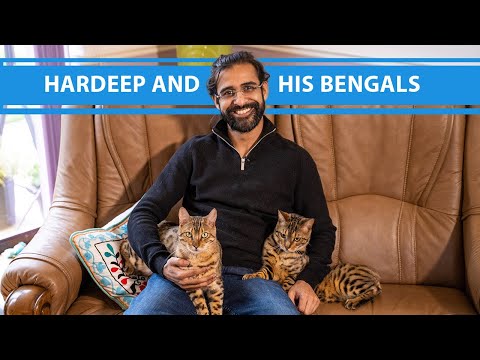 Hardeep and his Bengals #pettracer