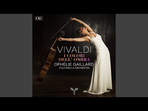 Concerto for violoncello piccolo in B Minor, RV. 424: I. Allegro non molto