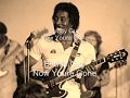 Buddy Guy-Now You're Gone
