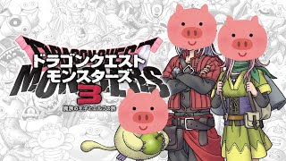 ドラゴンクエストモンスターズ3 魔族の王子とエルフの旅 9日目 【人生縛り】