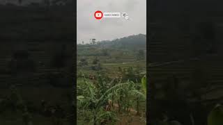 Download lagu Jalan Pedesaan |Desa Karangsari Kec. Darma Kab. Kuningan#shorts mp3