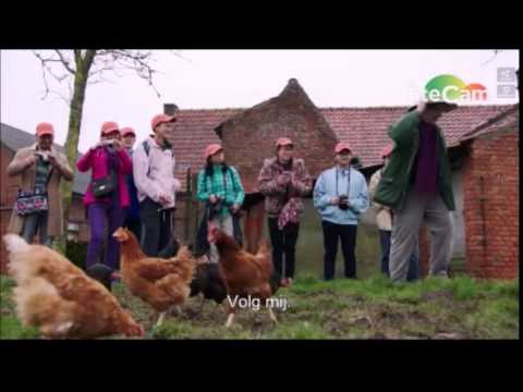 Allemaal Chris - Kamiel krijgt Chinezen op bezoek!