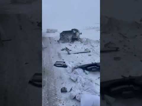 Nexus Auto Transport - Transportation company damaged my vehicle in... - Image 4