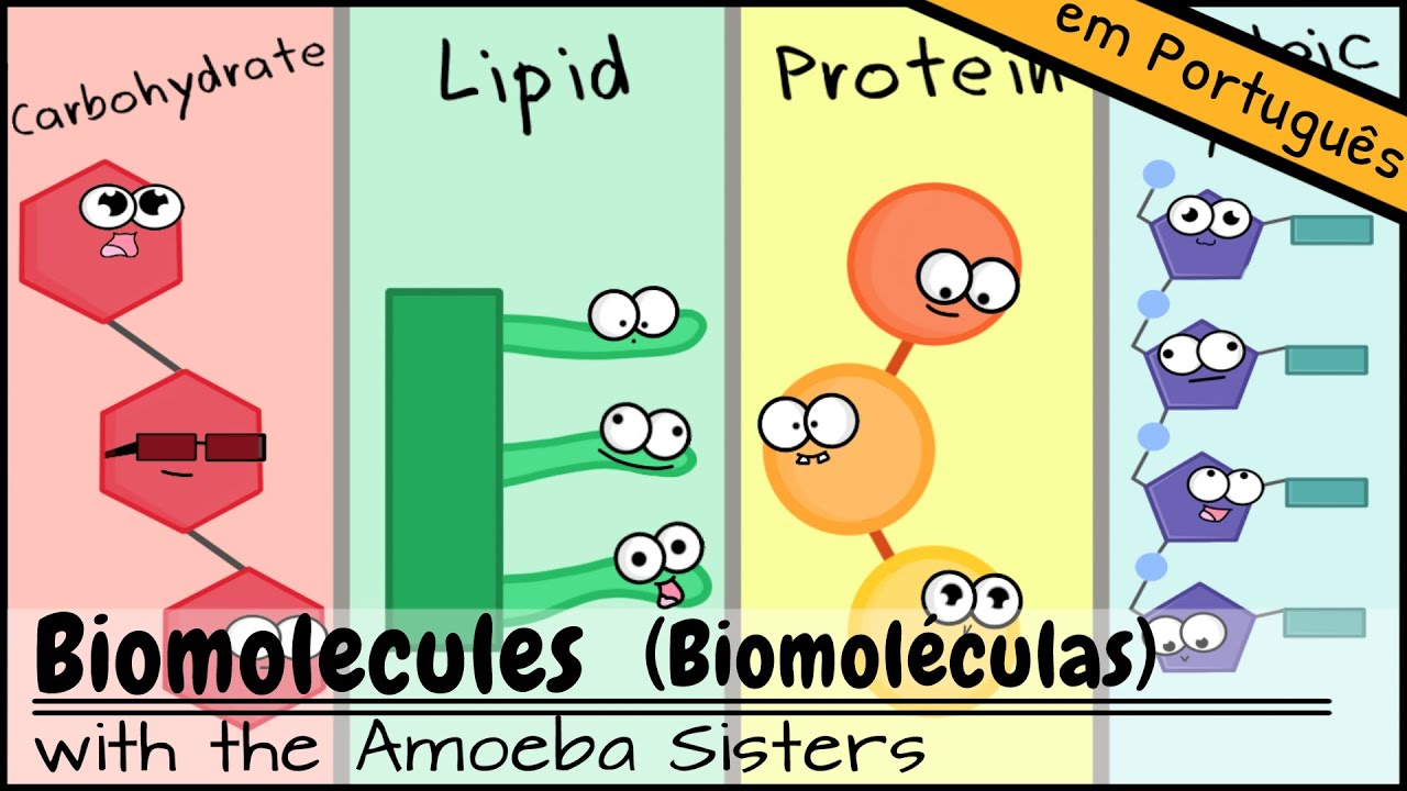 Biomoléculas