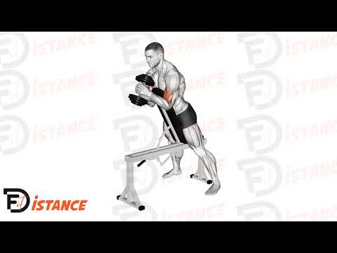 Curl spider serveur avec haltère - Exercice Curl spider serveur avec haltère en vidéo