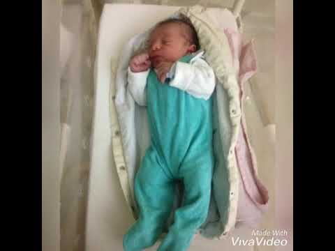 Ayaz Merve Monkey & Snake Dj oskar