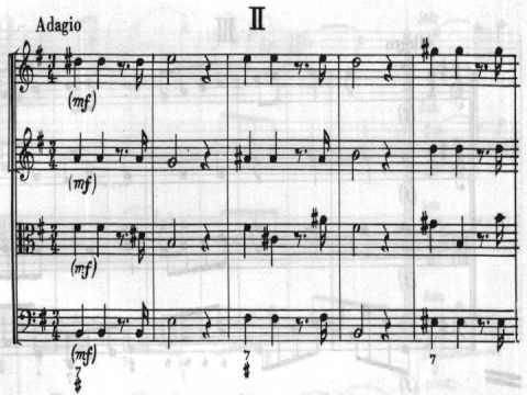 [Zeljko Straka] Vivaldi: Concerto for Strings in G, "Alla Rustica"