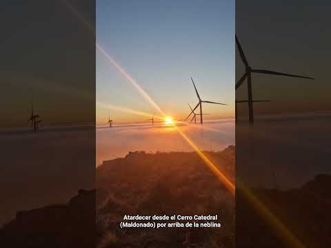 Arriba de la neblina en el Cerro Catedral, Maldonado, #uruguay. Parque Eólico Carapé.