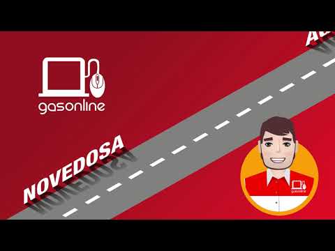 GasOnLine PRO