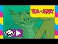 Tom And Jerry Transformation Boomerang