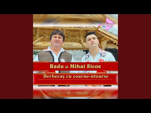 Berbecaș cu coarne-ntoarse