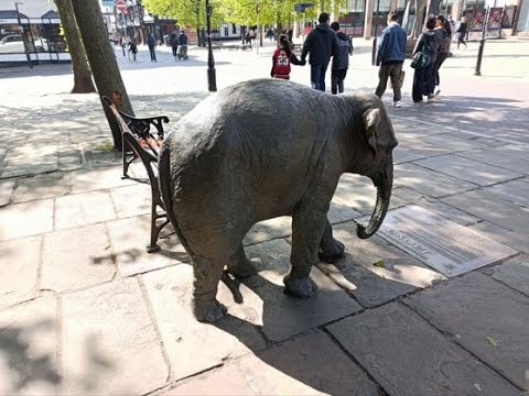 Chester City Walking Tour | Explore Historic Streets & Roman Walls