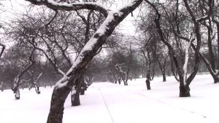 Elvis - The Wonderful World Of Christmas