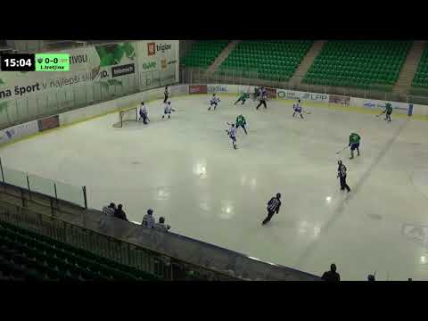 Člani AHL 1.3.2018 HK SŽ Olimpija - EK ZEller, posnetek celotne tekme