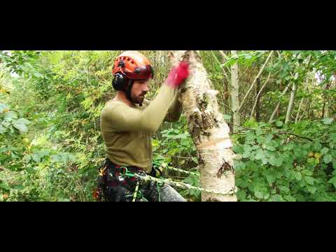 spring greening video.