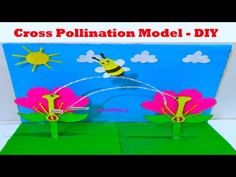hydroponic farming working model for science exhibition inspire award science project howtofunda