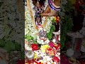 Kaliyuga Daivam Sri Venkateshwara Swami Shortvideo