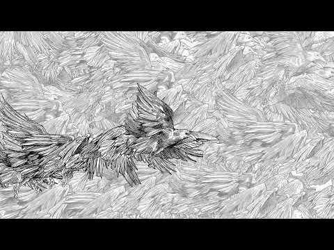 Haju / Złote Twarze - Wieloświat