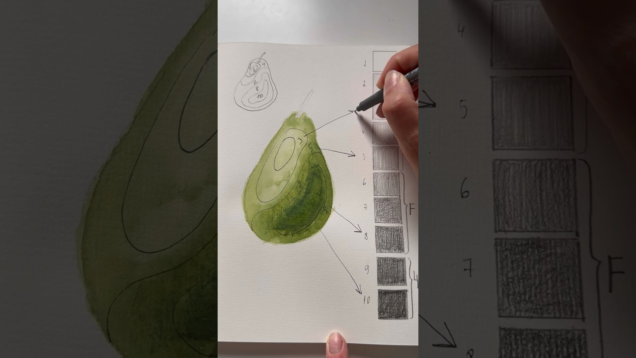 Day 7 Tonal values lesson #watercolorpainting #arttutorial #artteacher #watercolortutorial #sketch
