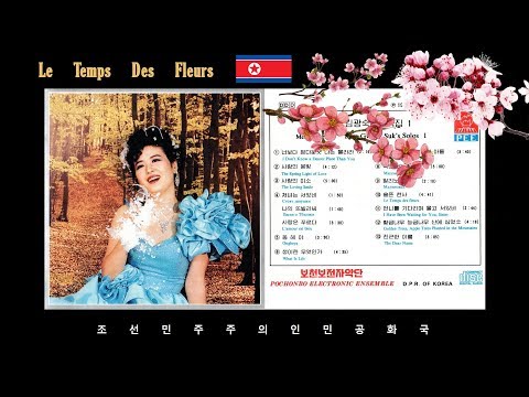 Pochonbo Electronic Ensemble - Le Temps des fleurs (Дорогой длинною)