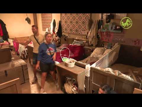 Farma: Elena nastavlja da pravi krš i lom na imanju - 22.04.2025