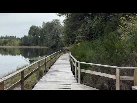 Área natural protegida Selva Triste, Villa La Angostura, Neuquén, Patagonia, Argentina 2026