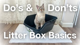 Don't make these litter box MISTAKES! Litter box basics (do's & don'ts)