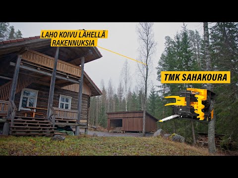 LAHOAVA puu lähellä mökkiä - puun poisto TMK Sahakouralla