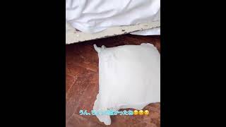 元NMB横野すみれ　Calvin K Ieinの下着姿を披露