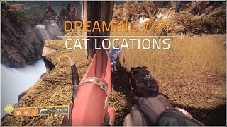 ALL DREAMING CITY CATS | Destiny 2: Forsaken Secret Cats