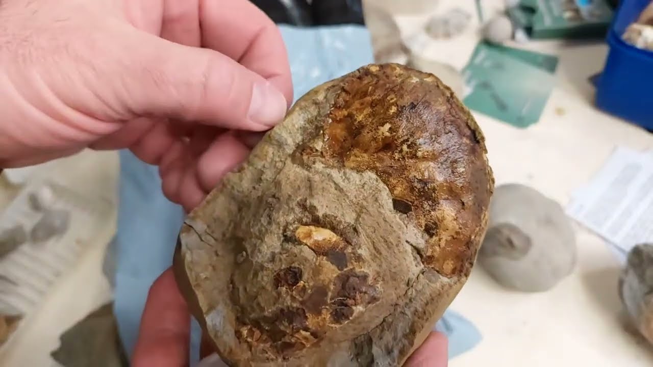 Mamlambo Fossils is live!