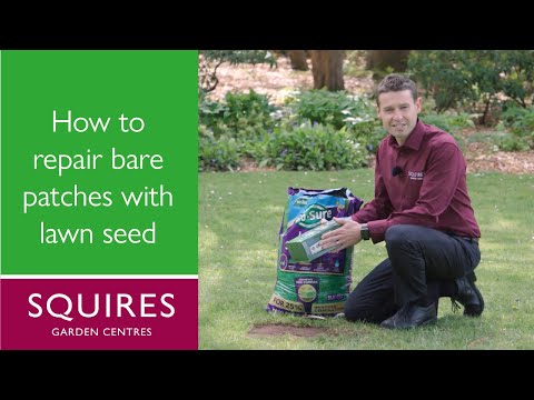 How to Easily Repair Bare Patches in Your Lawn | Squire's Garden Centres