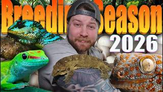 This Gecko Season Is Going To Take Us To The NEXT Level!