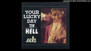 Eels - Your Lucky Day in Hell [HD]