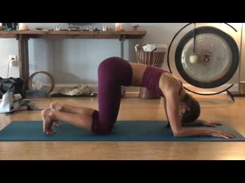 Low Pressure Fitness (Level 1) - Maya on forearms Demonstration